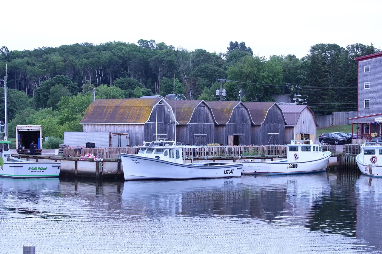fishing boats, lobster, boat, harbor, nature, sea, ocean, boats, marine, fisherman, canada, seafood, atlantic. Seasonal operating lines: Canadian enterprise loan options
